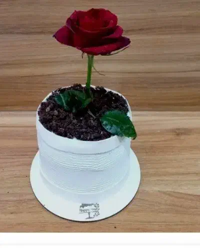 کیک روز مادر|خوردنی و آشامیدنی|سبزوار, طبرسی (جعفرآباد)|دیوار