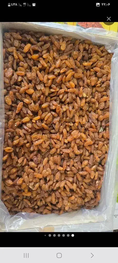 کشمش سبز و آبگیری انواع کشمش|خوردنی و آشامیدنی|رشت, منظریه|دیوار