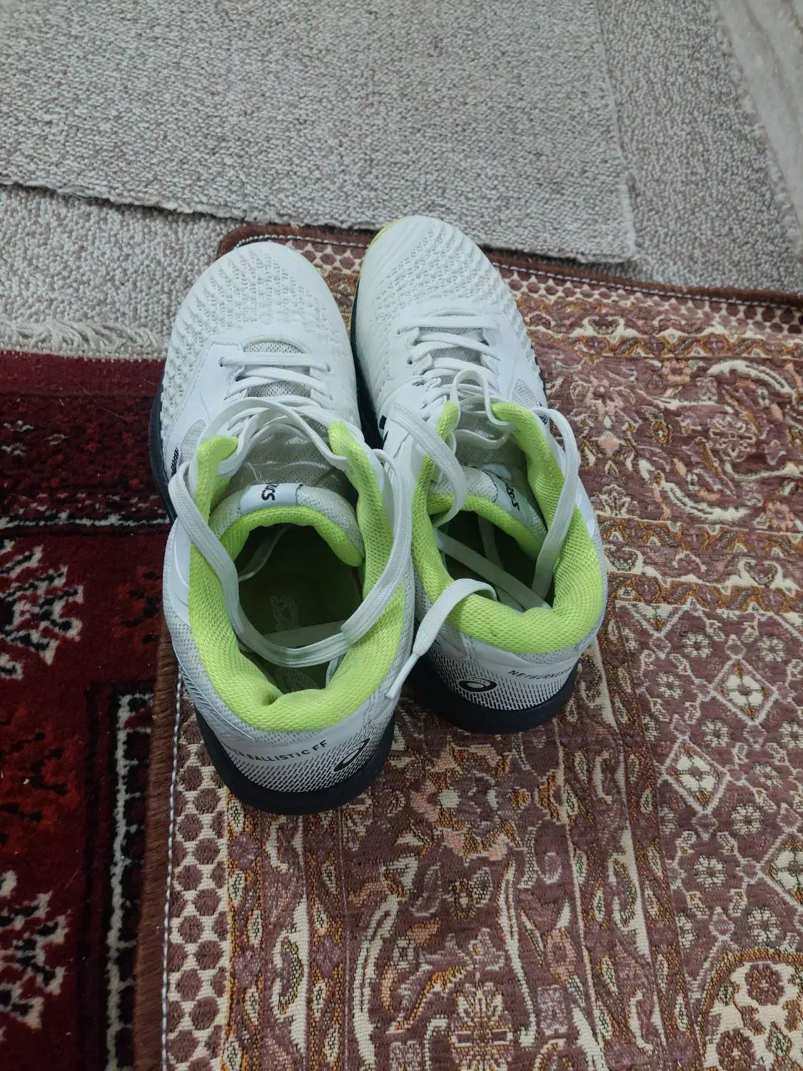 کفش والیبال|کیف، کفش، کمربند|گمیشان, |دیوار