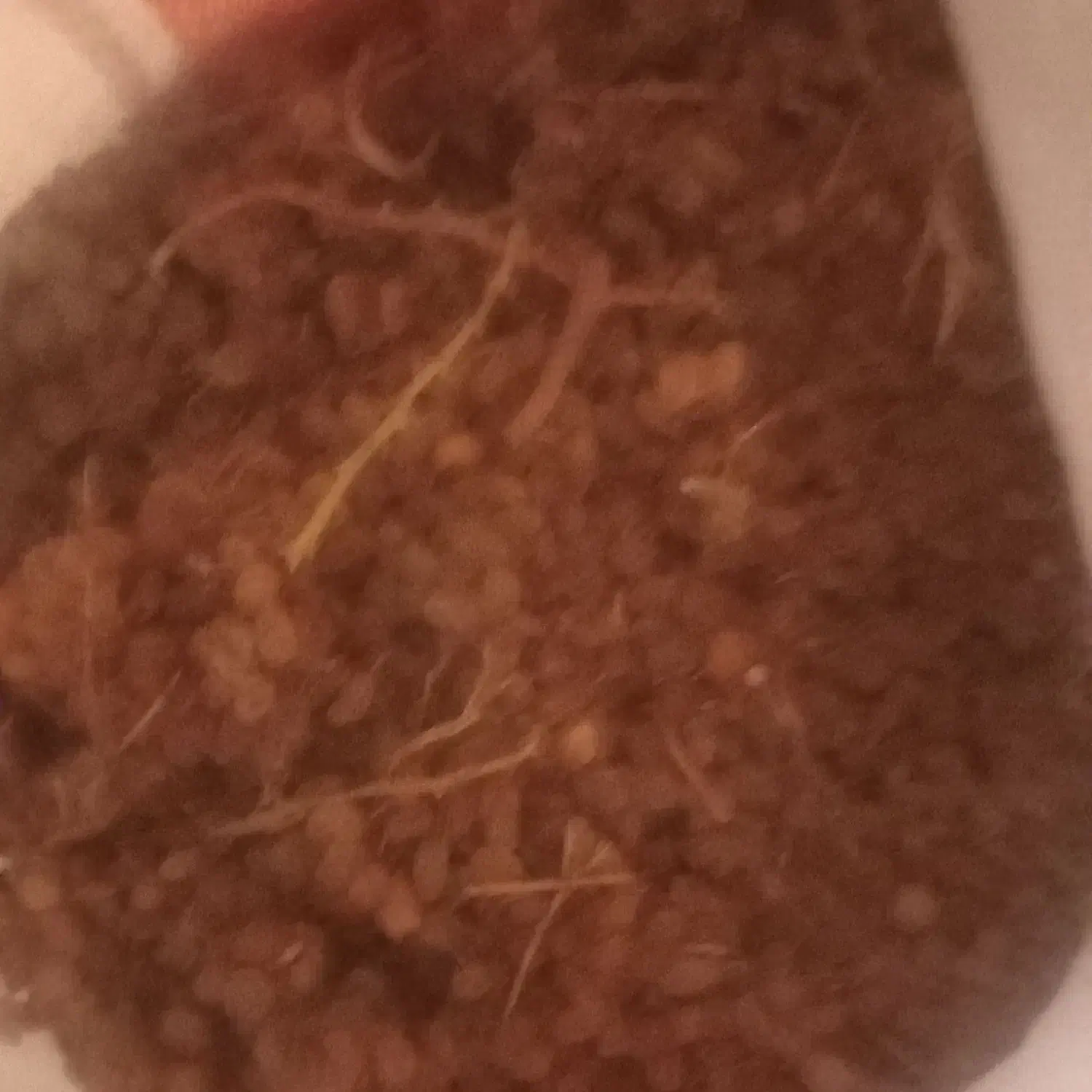 کشمش ارگانیک اصل بدون دانه|عمدهفروشی|سرولایت, |دیوار