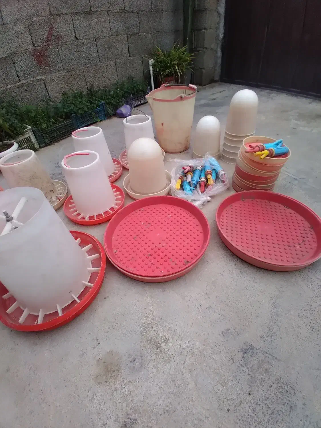 دان خوری مرغ|لوازم جانبی حیوانات|صومعه‌سرا, |دیوار