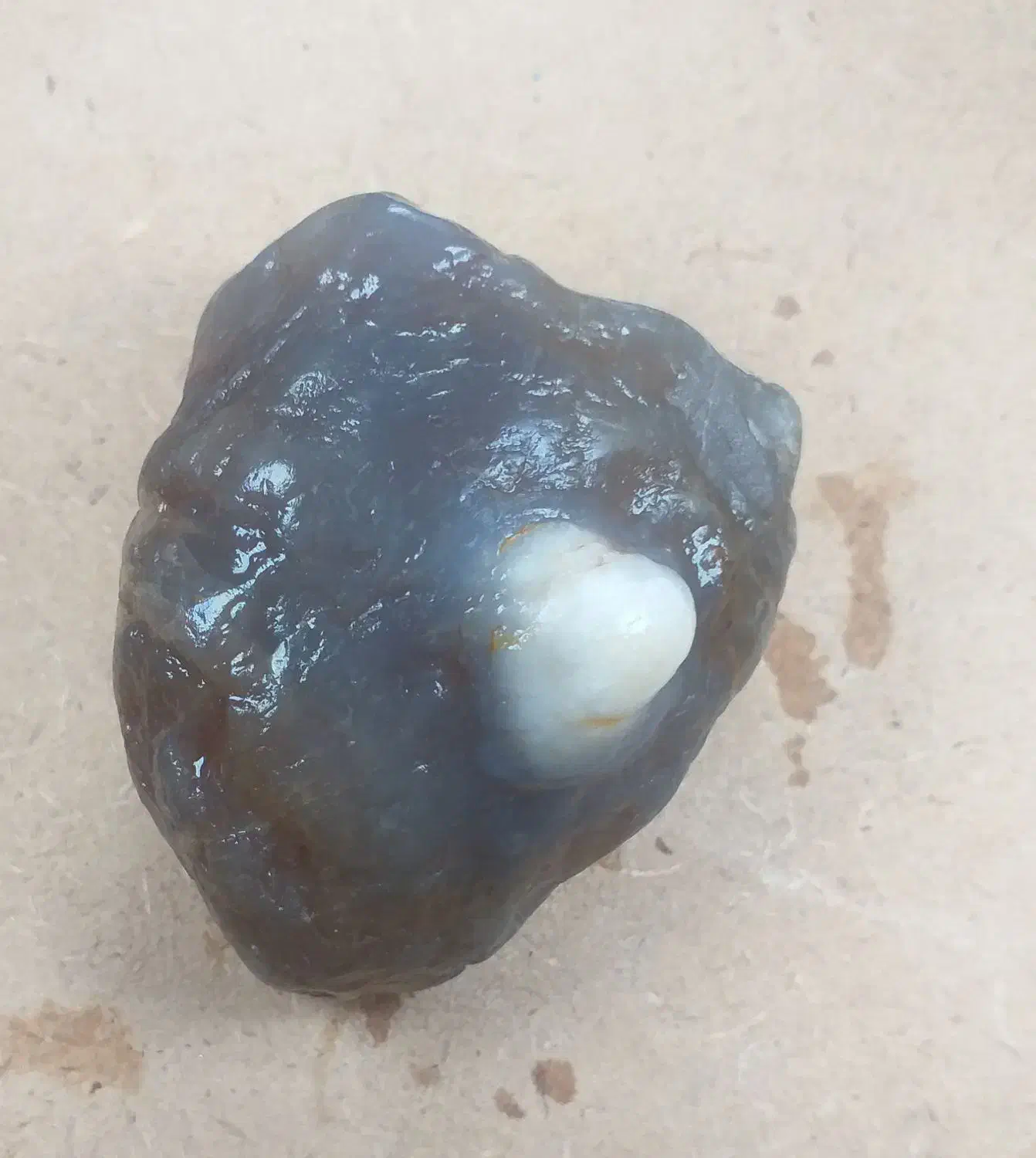 سنگ باباقوری|کلکسیون اشیاء عتیقه|قائمشهر, |دیوار