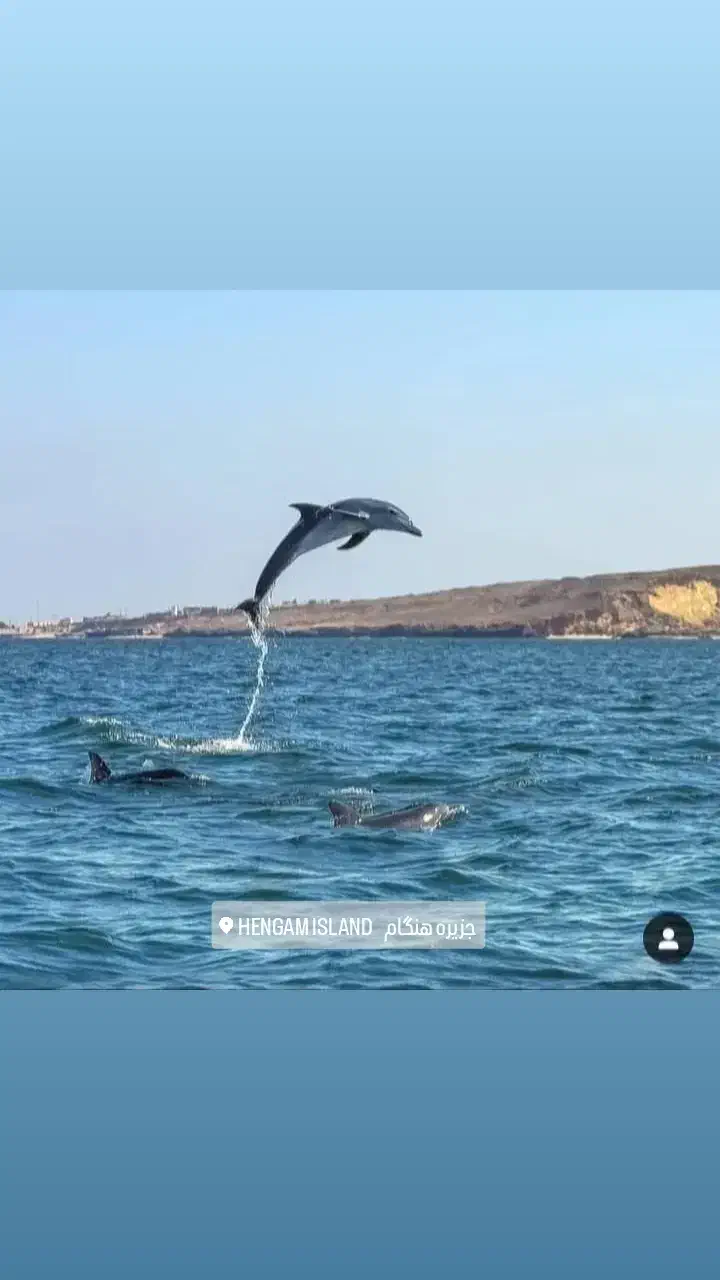 گشت جزیره قشم دربستی 1/500|تور و چارتر|قشم, |دیوار