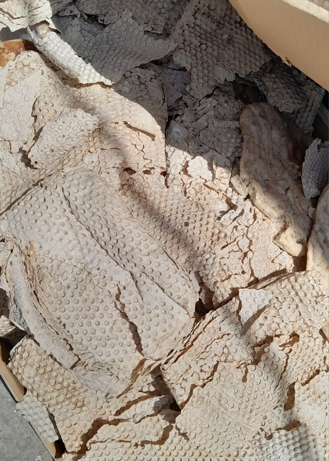 نان خشک کیسه ۲۰۰تومان بدون کپک|لوازم جانبی حیوانات|میناب, |دیوار