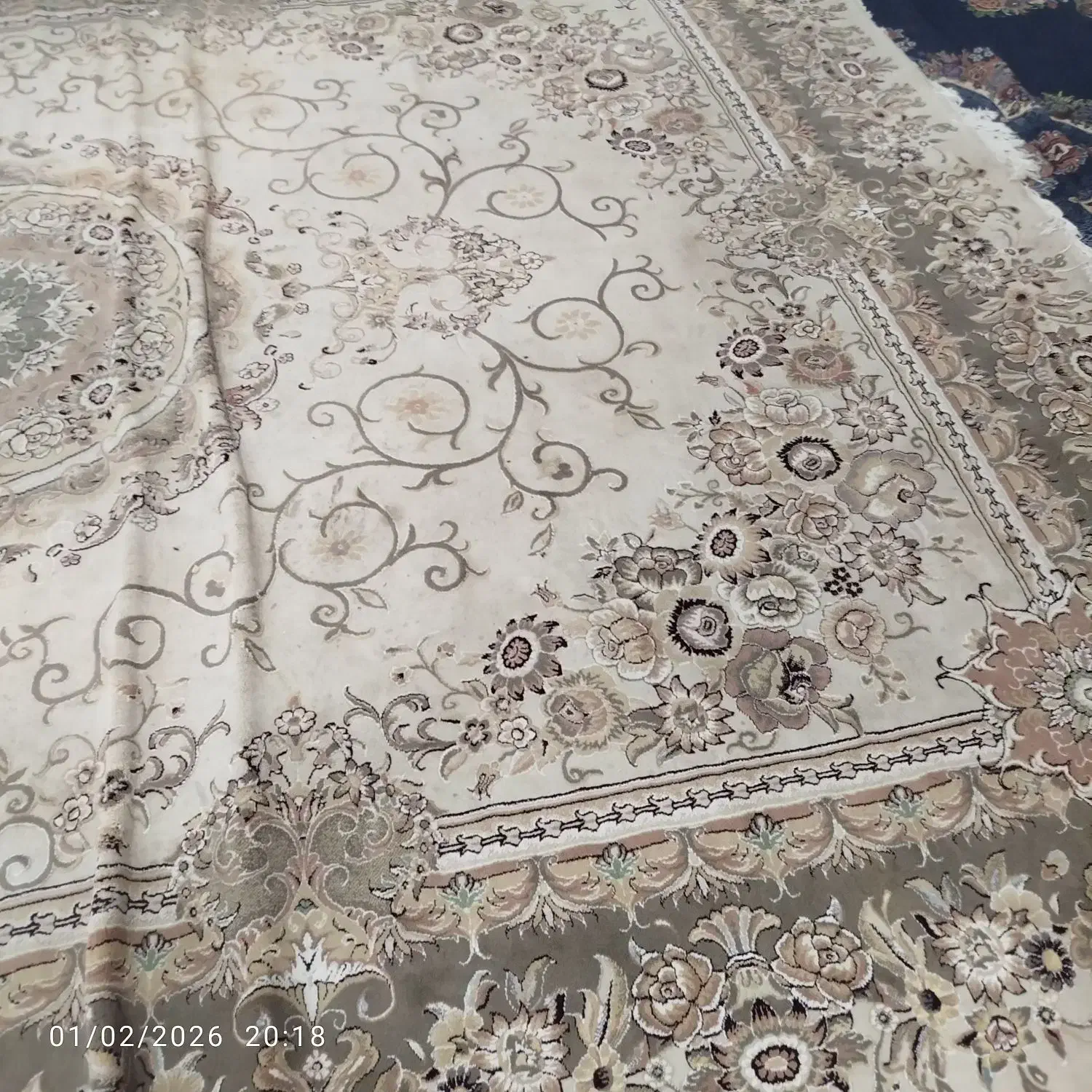 فرش ها|فرش|چابهار, |دیوار