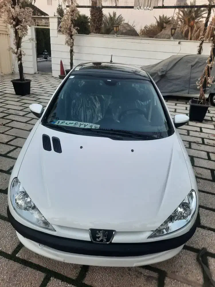 206پانا مدل ۱۴۰۱|خودرو سواری و وانت|تهران, تهرانسر شرقی|دیوار