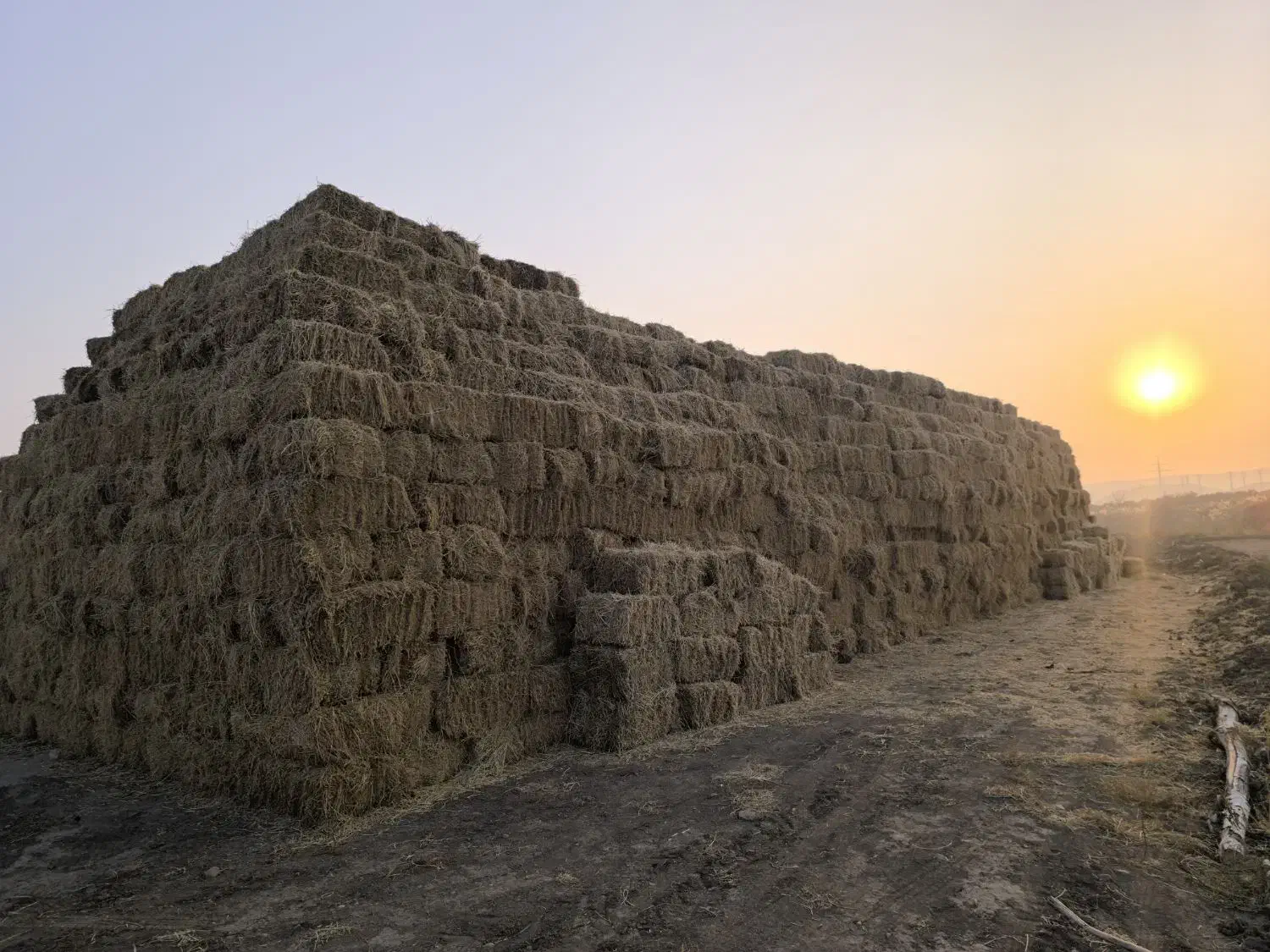 یونجه انباری|عمدهفروشی|ایواوغلی, |دیوار