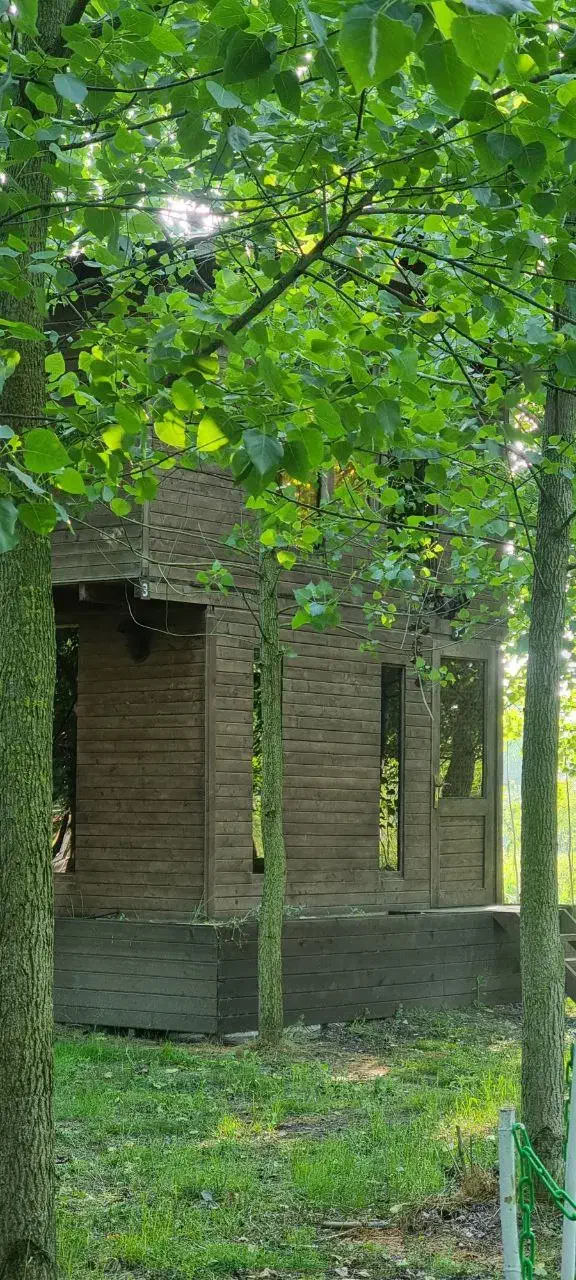 زندگی در کنار طبیعت  زیبا و ارام|فروش خانه و ویلا|قمصر, |دیوار