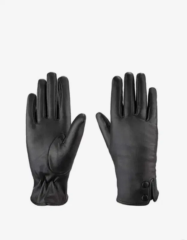 دستکش چرم مشهد|کیف، کفش، کمربند|مشهد, صداقیه|دیوار