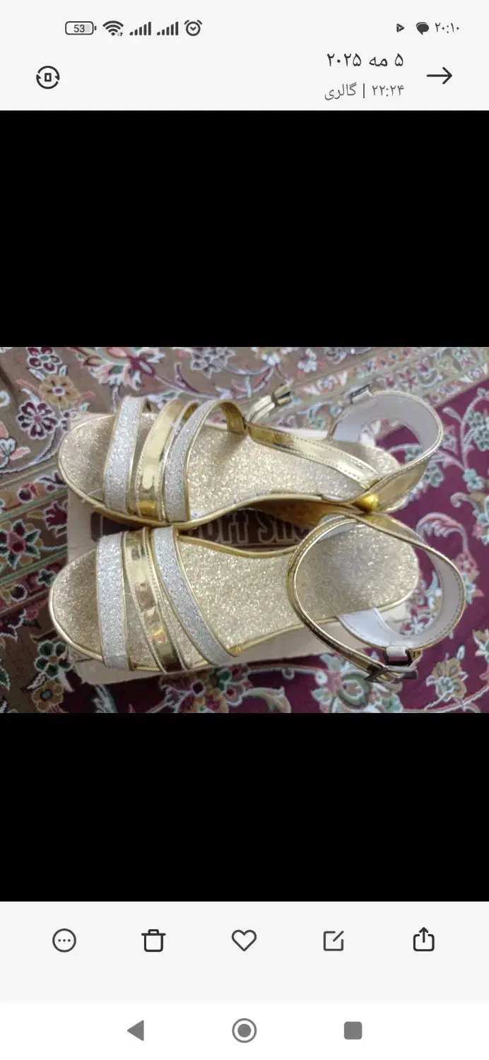 کفش در حدنو|کیف، کفش، کمربند|سنندج, |دیوار