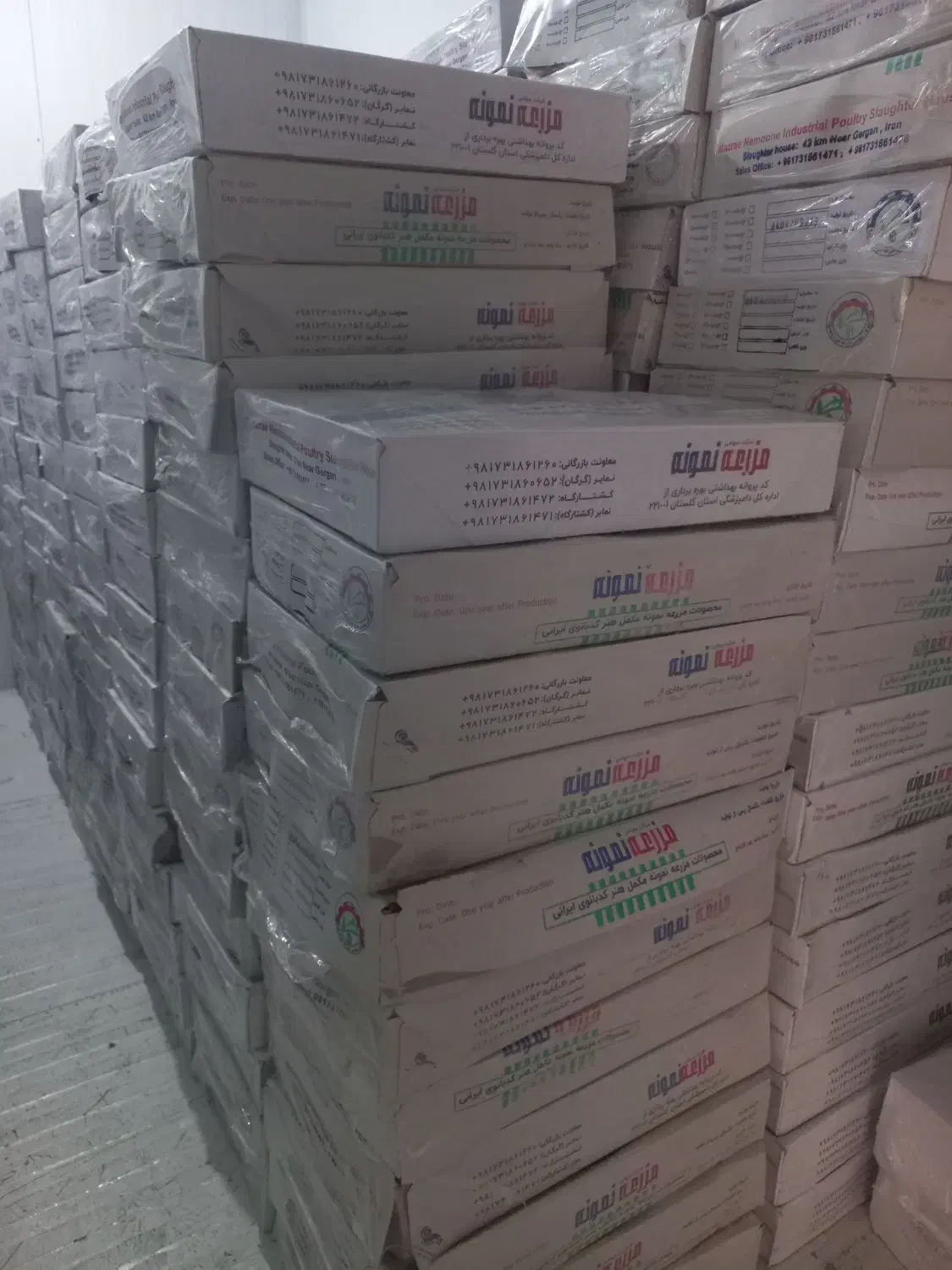 فروش سنگدان درجه یک شرکتی|خوردنی و آشامیدنی|کرج, نوروزآباد|دیوار