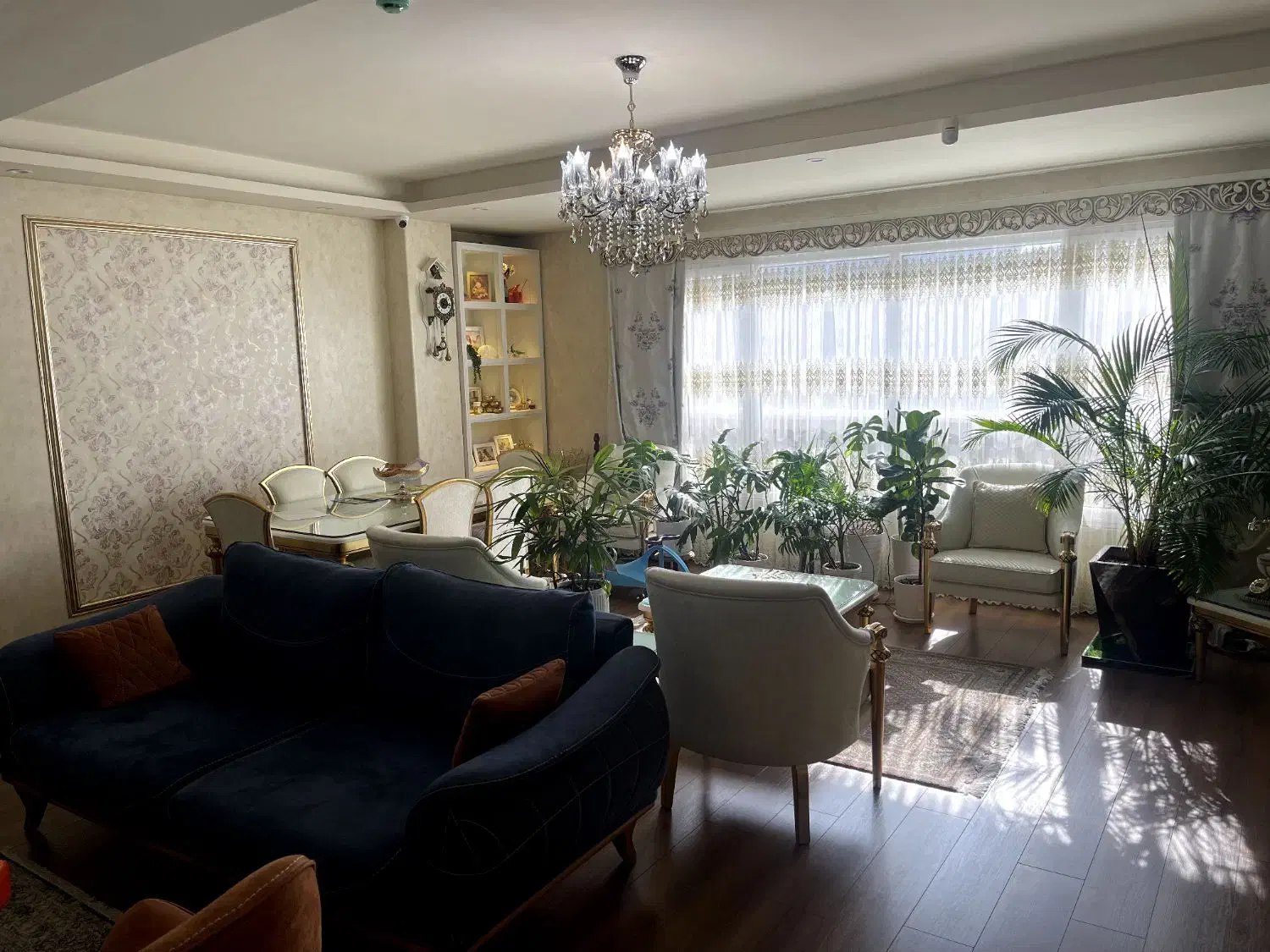 فروش تک واحد 146 متری در گلسار سمیه|فروش آپارتمان|رشت, کاکتوس|دیوار