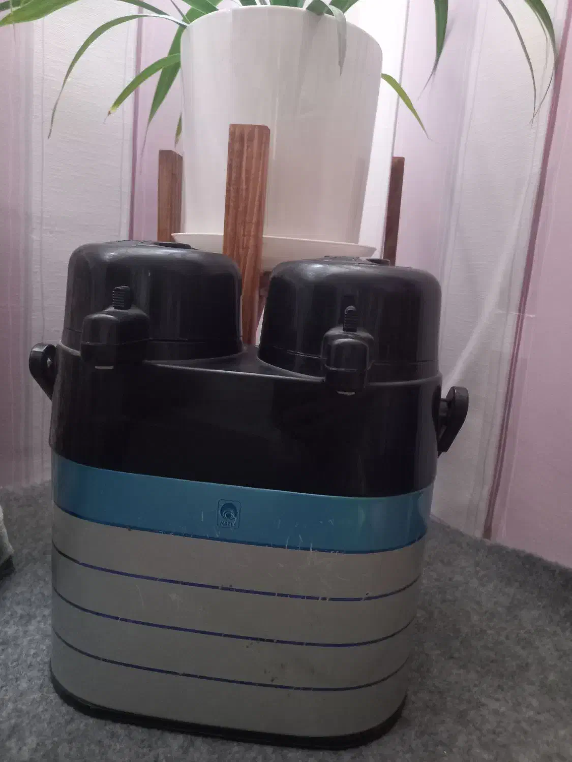 فلاکس|کوهنوردی و کمپینگ|نیشابور, گمنام غربی|دیوار