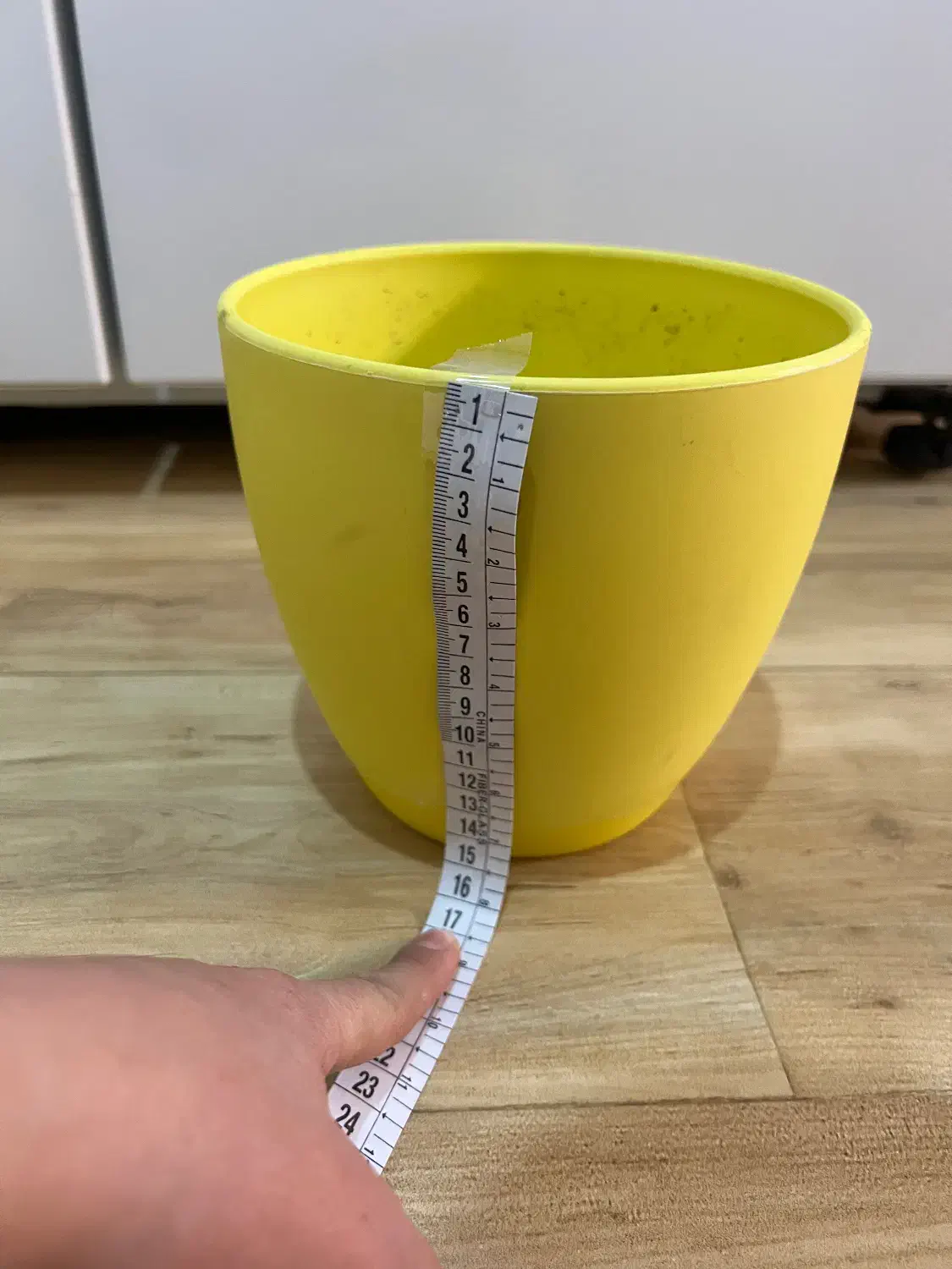 دو عدد گلدان|گل و گیاه طبیعی|بجنورد, |دیوار