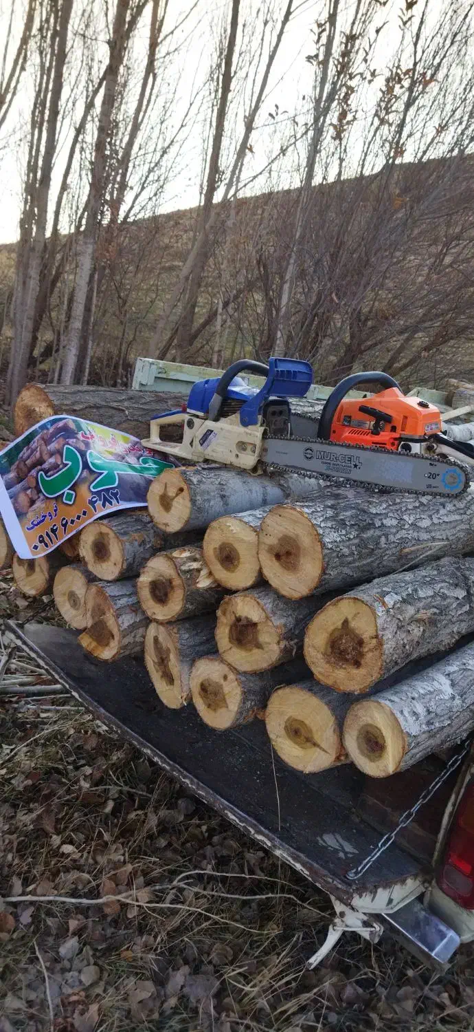 خرید و فروش و برش انواع چوب تر  و خشک|خدمات باغبانی و درختکاری|بوکان, |دیوار