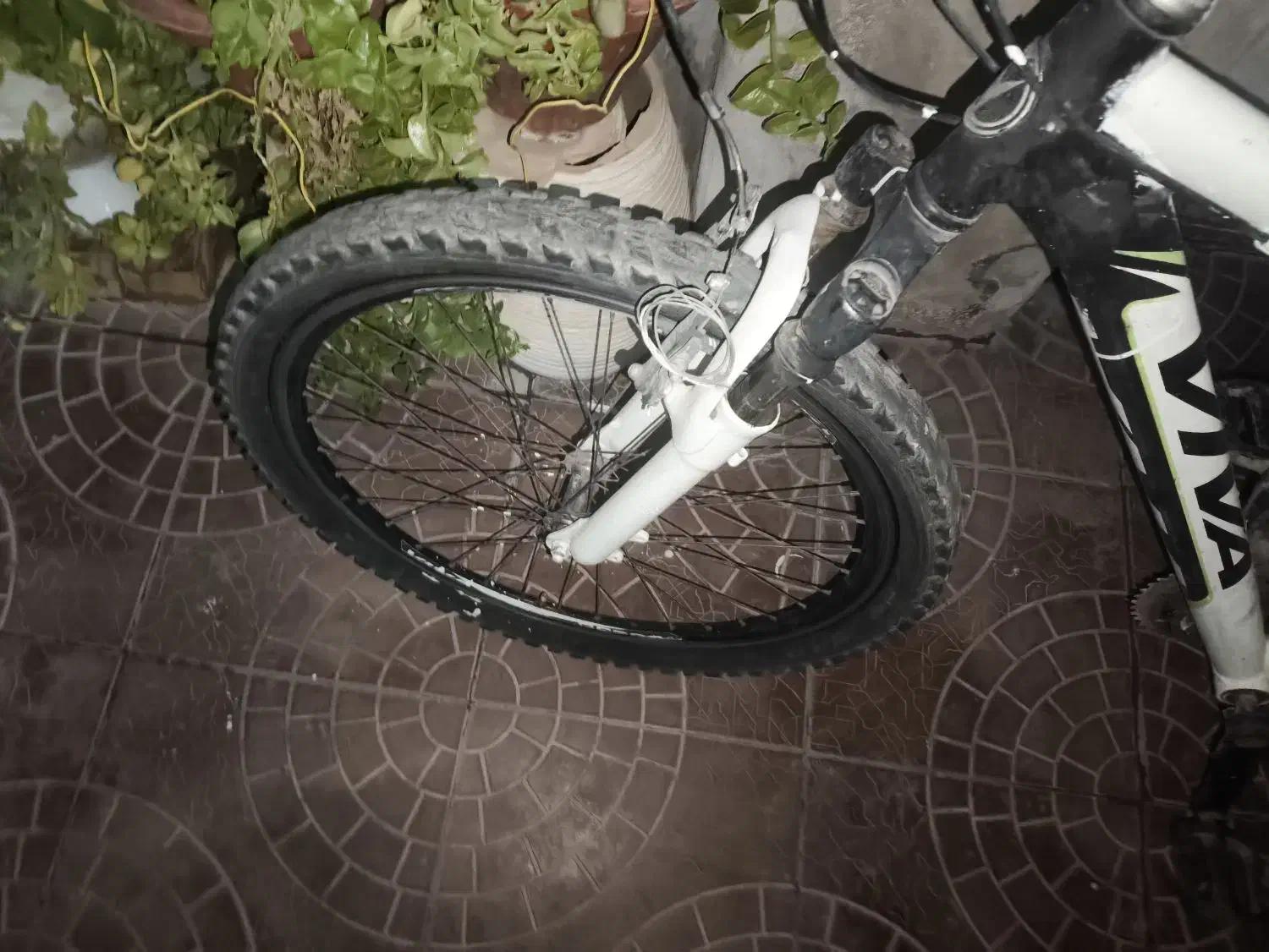 دوچرخه ویوا 26 تنه آلمینیوم|دوچرخه، اسکیت، اسکوتر|تربت جام, والفجر|دیوار