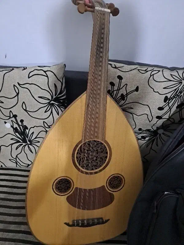 ساز عود|سازهای سنتی|سنندج, |دیوار