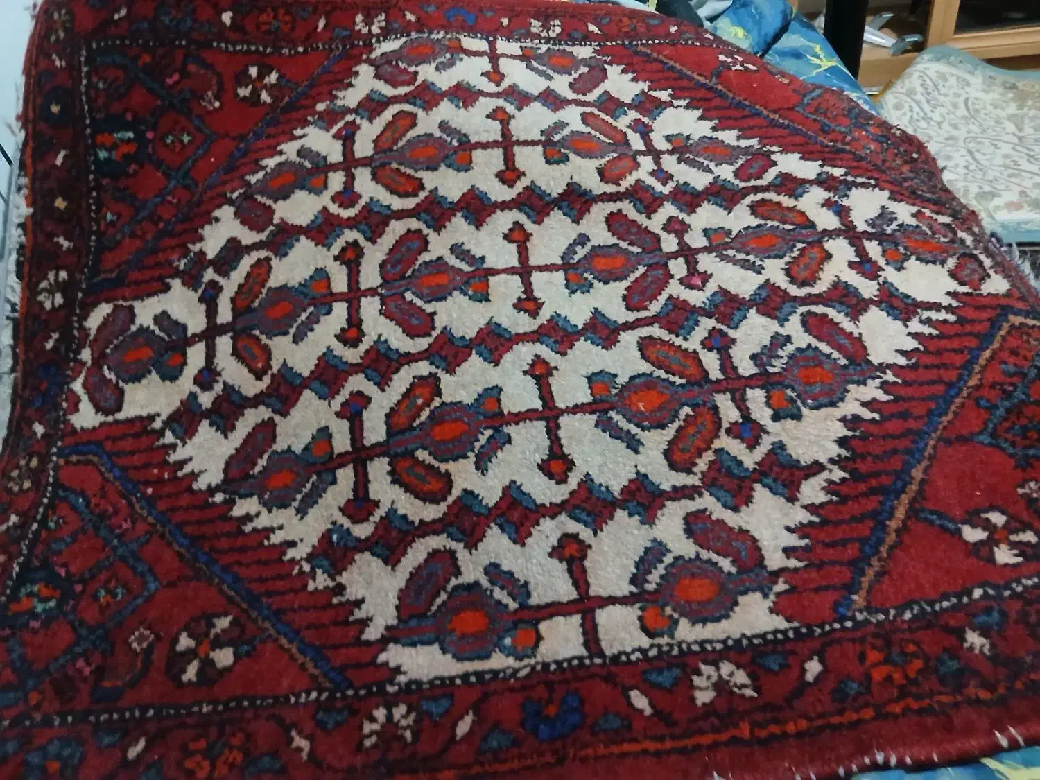 قالیچه دست باف|فرش|شیراز, فرگاز|دیوار