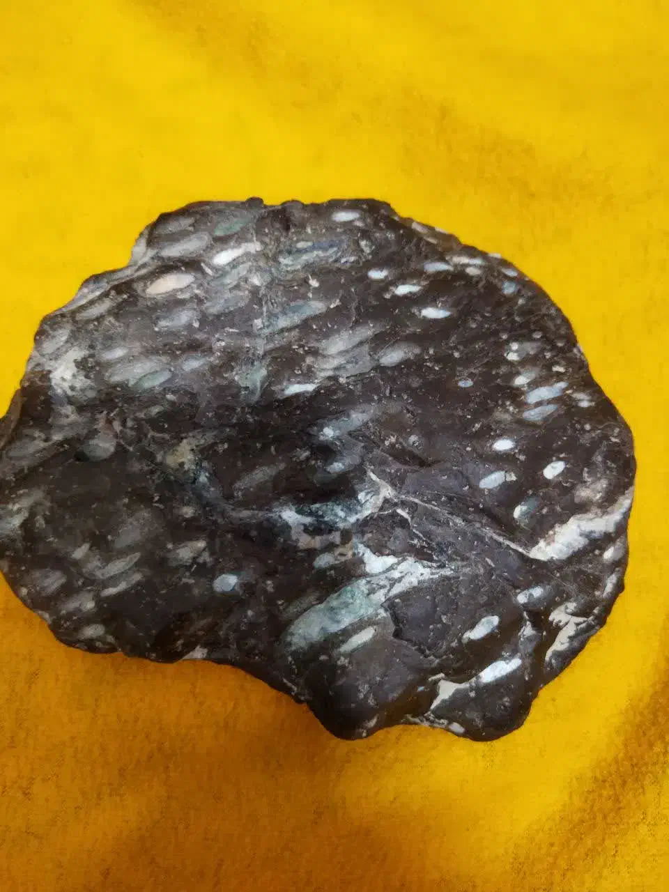 شهاب سنگ|کلکسیون اشیاء عتیقه|کرج, گوهردشت|دیوار