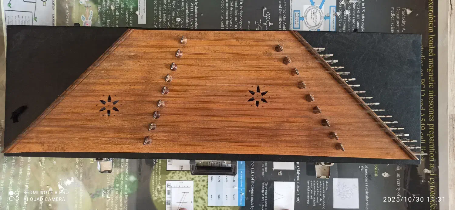 سنتور|سازهای سنتی|کرمان, |دیوار