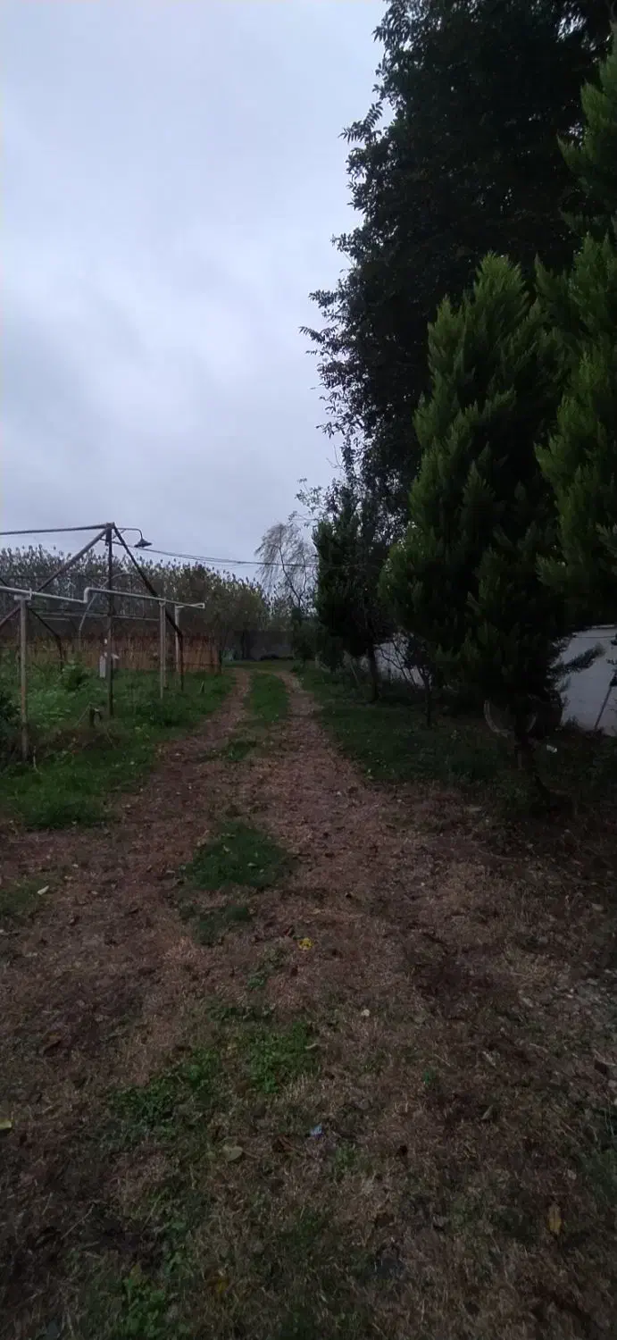 اجاره گلخانه|اجارهٔ دفتر صنعتی، کشاورزی، تجاری|طاهرگوراب, |دیوار