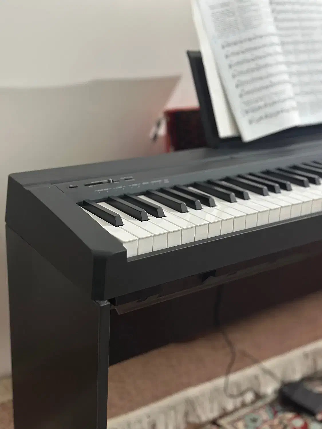 Piano P-45|پیانو، کیبورد، آکاردئون|گرگان, |دیوار