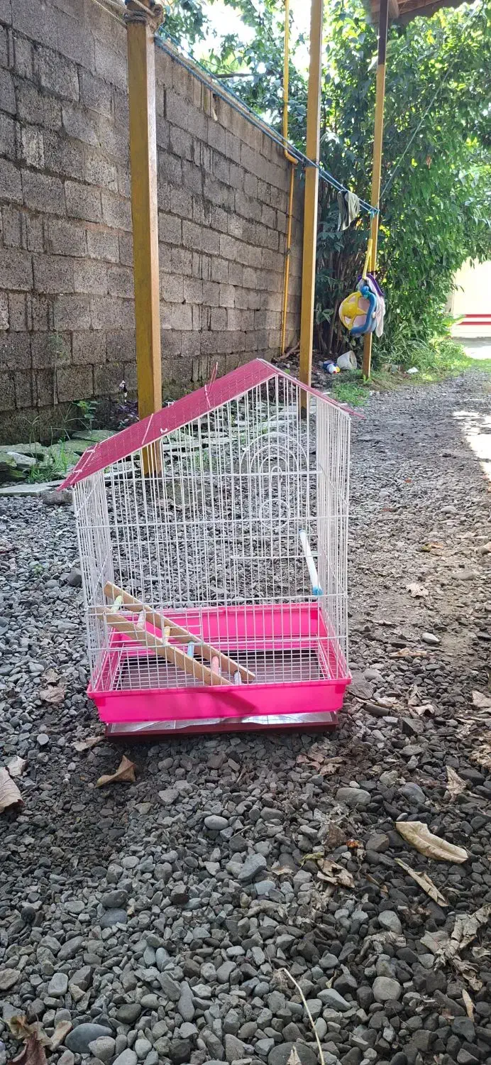 دو عدد قفس پرنده|لوازم جانبی حیوانات|رشت, پسیخان|دیوار