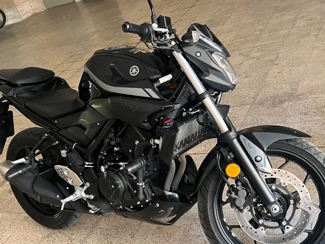 Mt25|موتورسیکلت|تهران, بهارستان|دیوار