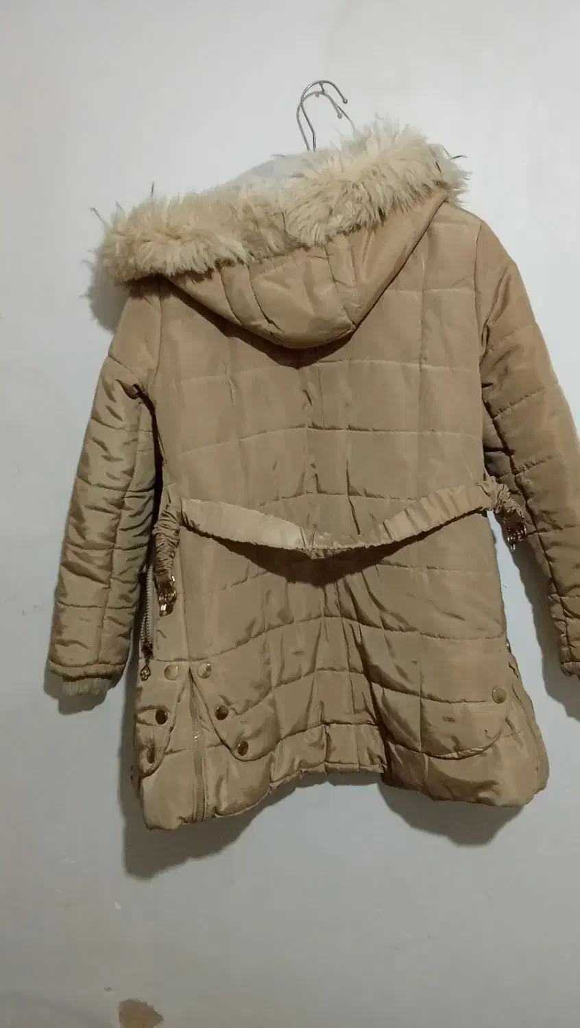 مشکی|کیف، کفش، کمربند|کوهدشت, |دیوار