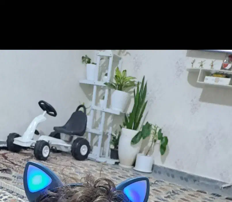 شلف گل پی وی سی|کتابخانه، شلف، قفسههای دیواری|پاکدشت, پاکدشت (مامازند)|دیوار