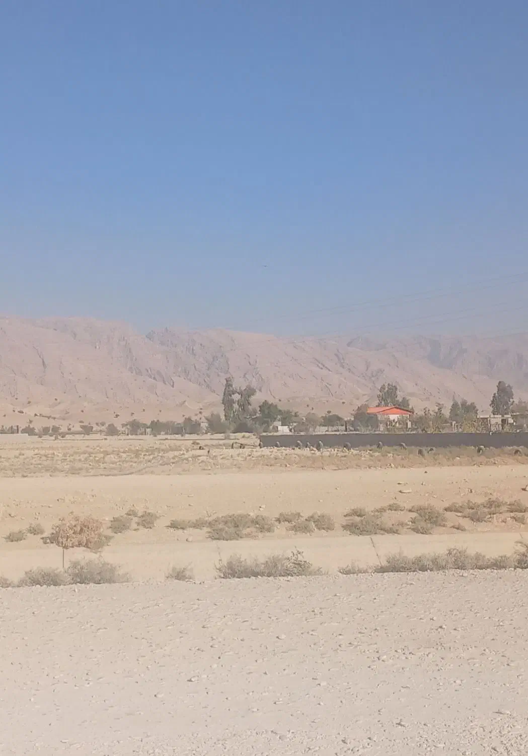 زمین باغی جاده سدونرسیده به قالند|فروش دفتر صنعتی، کشاورزی، تجاری|بهبهان, |دیوار