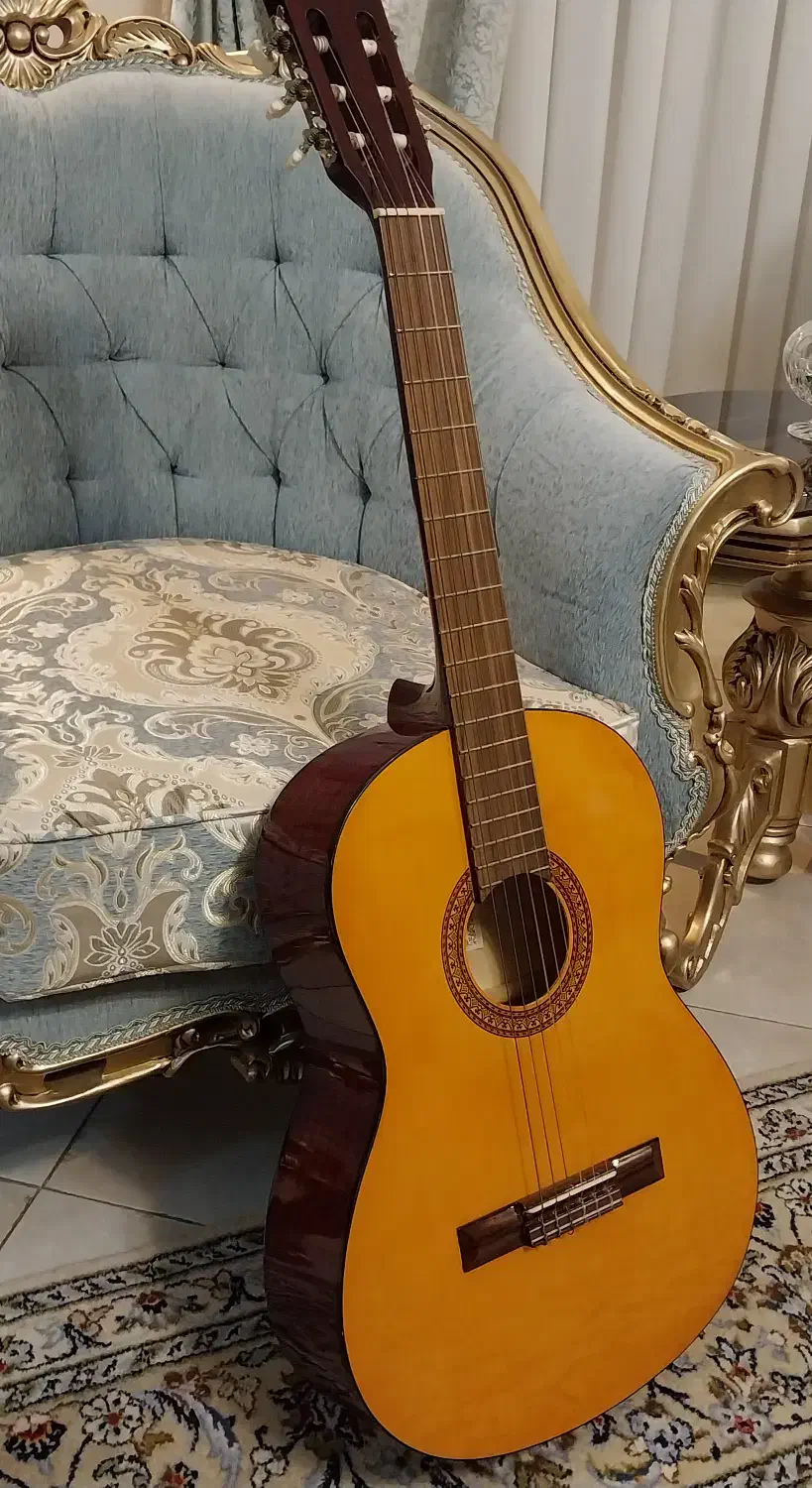 گیتار ساخت اندونزی|گیتار، بیس، امپلیفایر|رشت, گلسار|دیوار