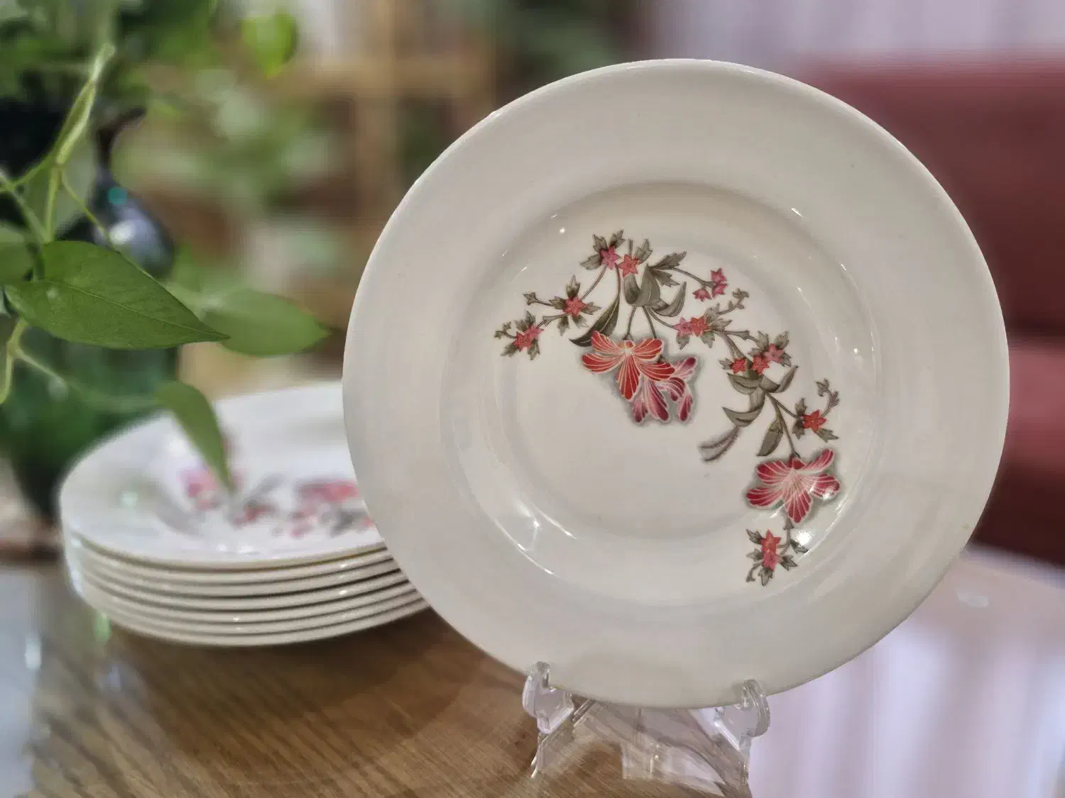 کرایه ظروف|ظروف سرو و پذیرایی|قم, پردیسان|دیوار