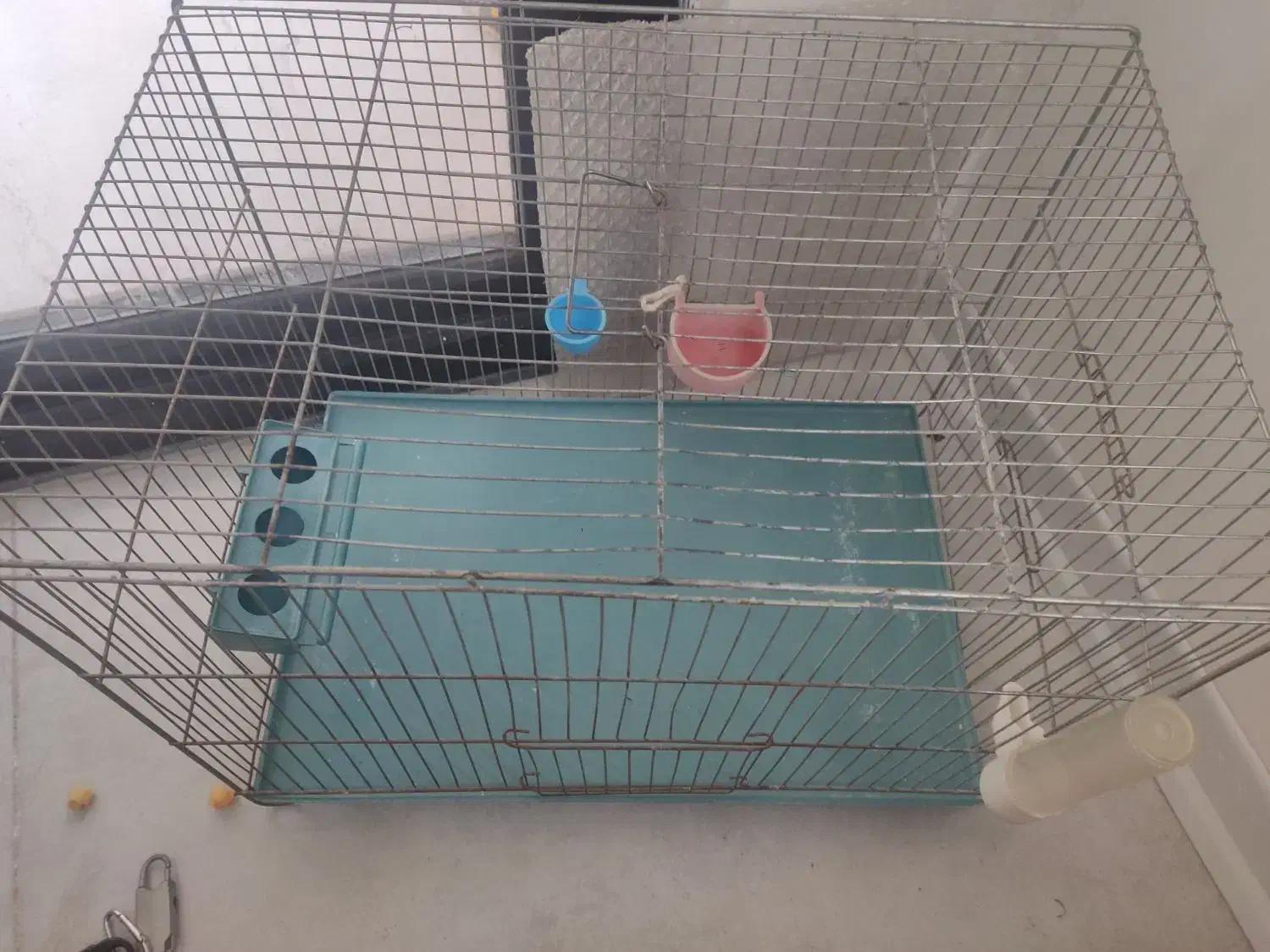 قفس عروس هلندی و غیره|لوازم جانبی حیوانات|ری, اقدسیه|دیوار