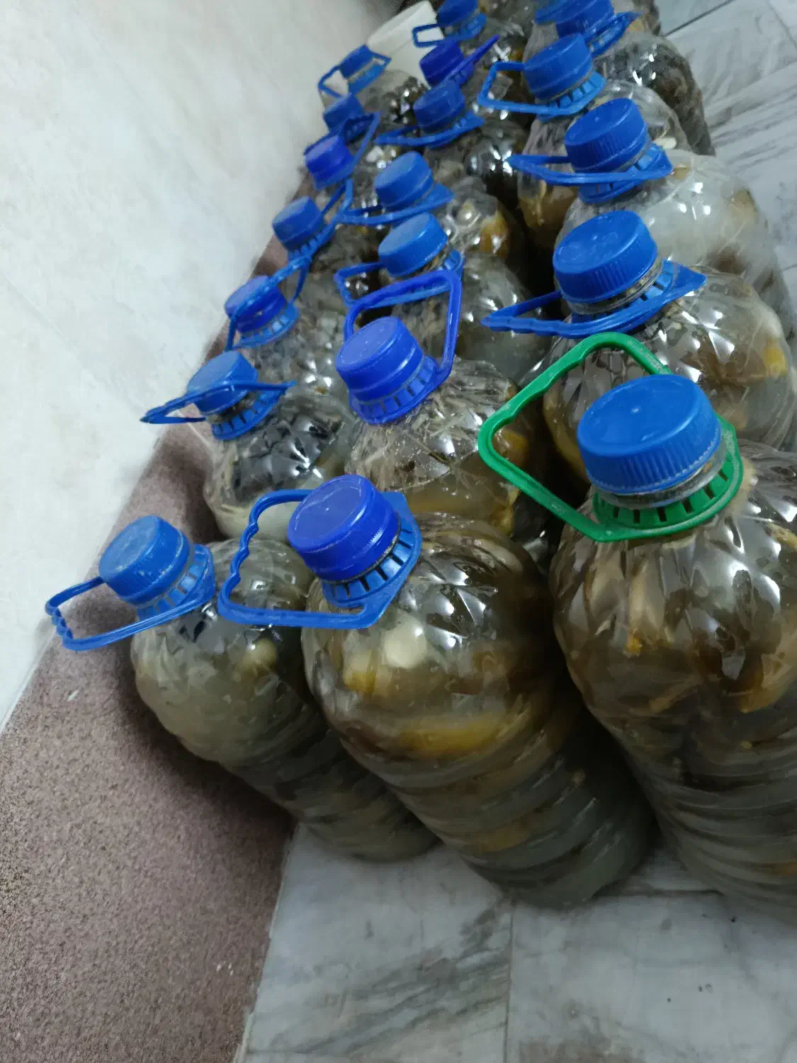 خیار شور|خوردنی و آشامیدنی|قم, شهر قائم|دیوار