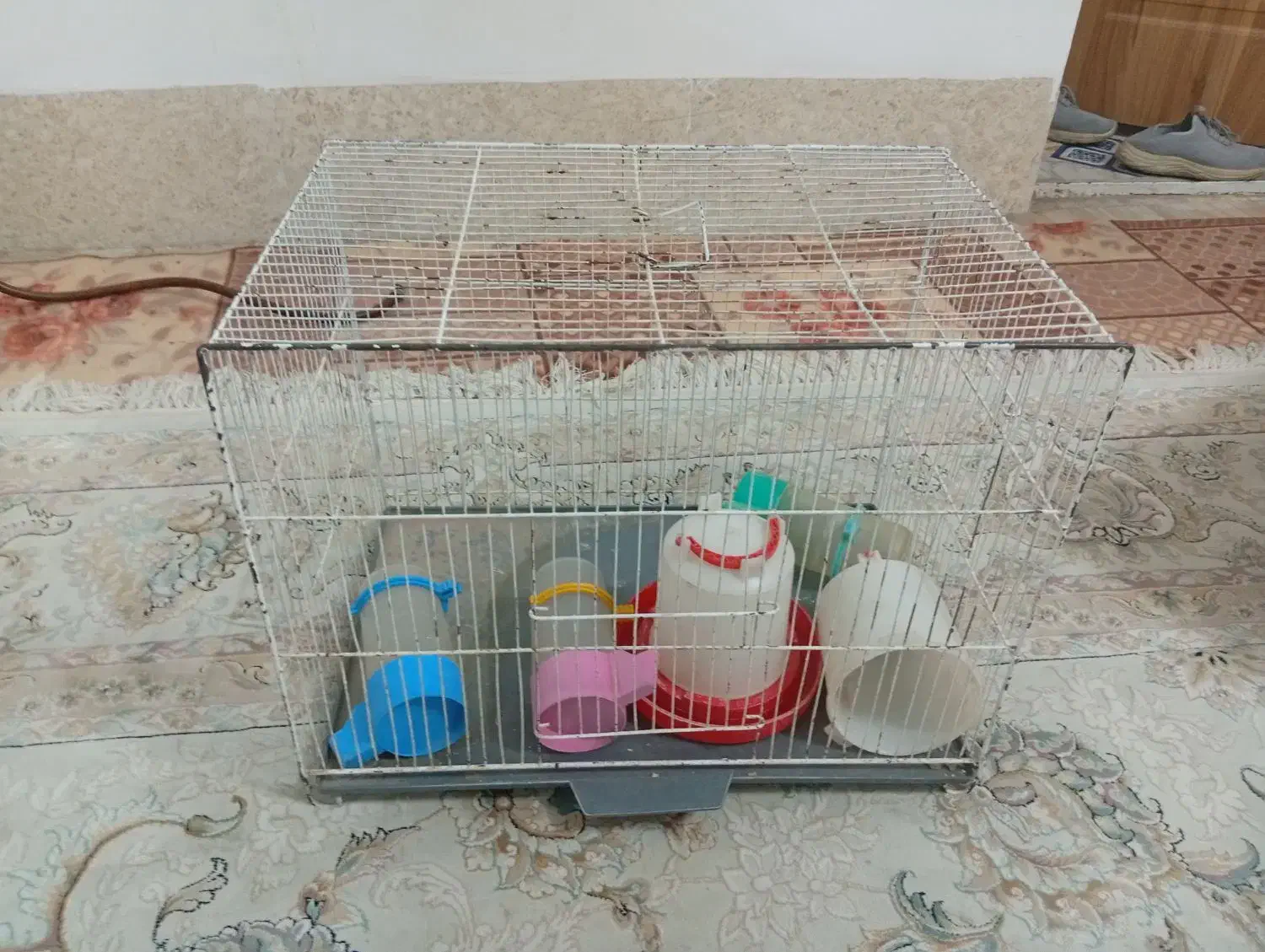 موتور سه چرخه|دوچرخه، اسکیت، اسکوتر|قم, وادی السلام|دیوار