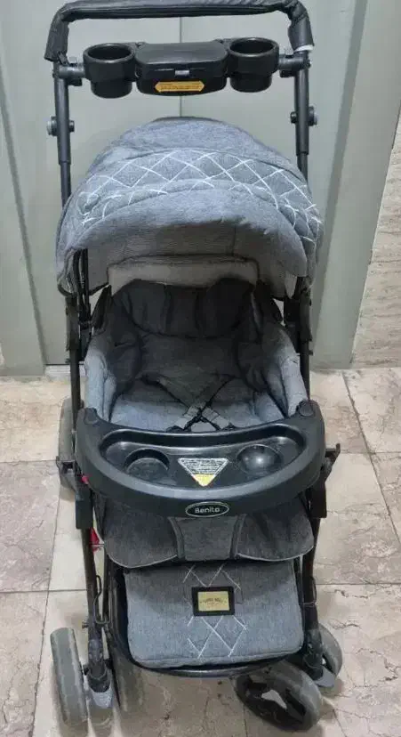 کالسکه دلیجان|کالسکه و لوازم جانبی|باغستان, |دیوار