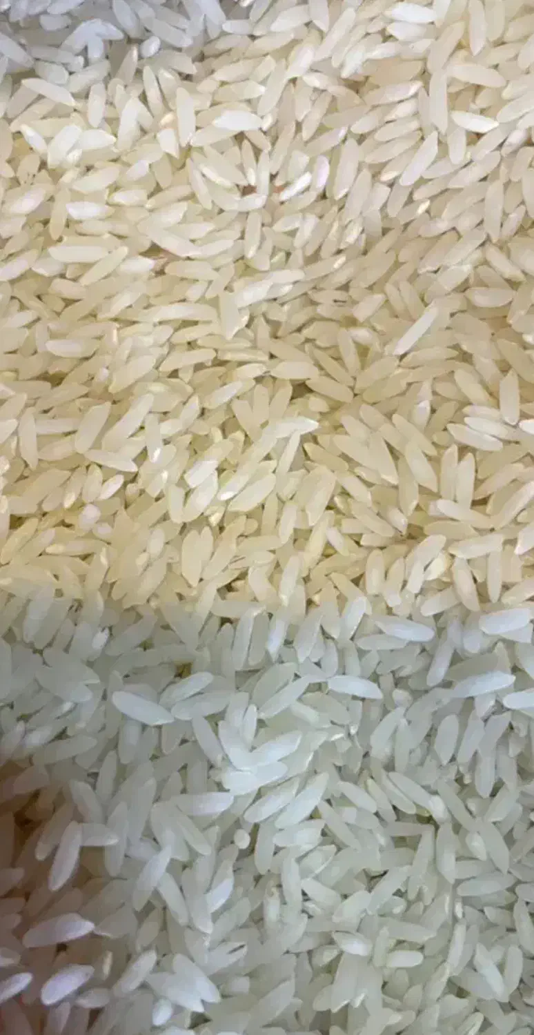 فروش ویژه برنج طارم هاشمی درجه یک|خوردنی و آشامیدنی|آمل, |دیوار