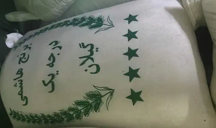 برنج ایرانی اصل هاشمی|خوردنی و آشامیدنی|کیش, |دیوار