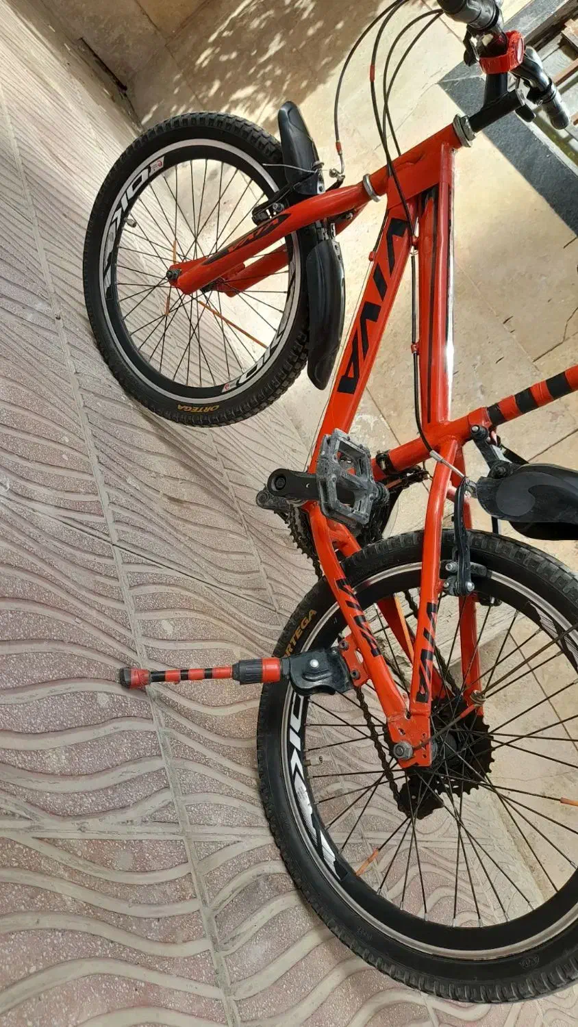 دوچرخه ۲۰|دوچرخه، اسکیت، اسکوتر|چهارباغ, |دیوار