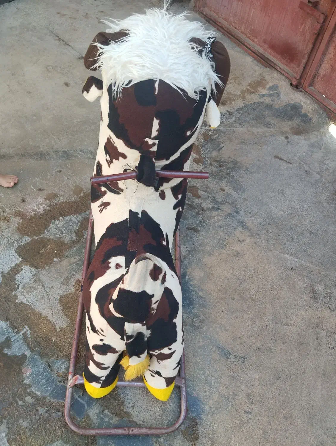 گاو اسباب بازی|اسباببازی|لردگان, |دیوار