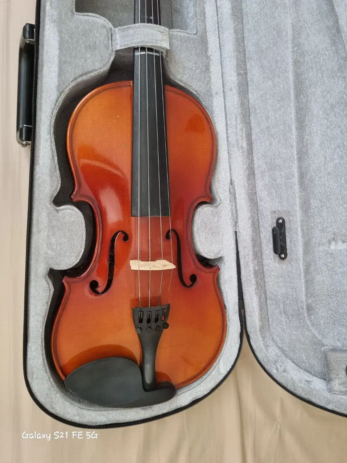 ویولن نو tf|ویولن|پردیس, فاز ۱|دیوار