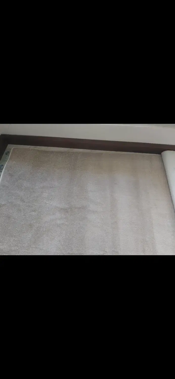 موکت در حد نو|موکت|تهران, صادقیه|دیوار