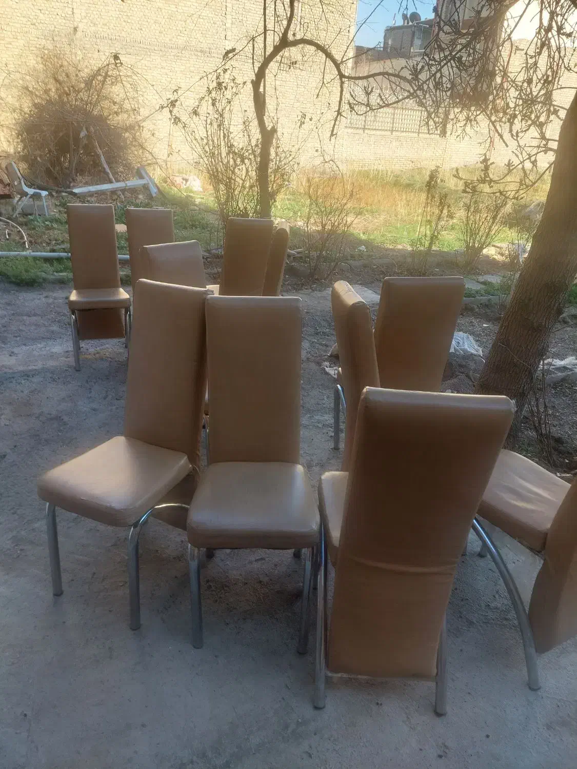 تعداد۲۴عدد صندلی رستورانی|کافیشاپ و رستوران|طرقبه, |دیوار