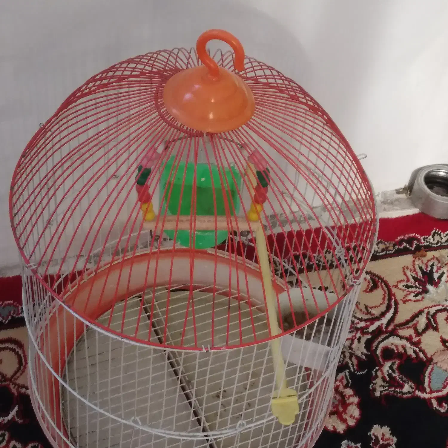 قفس|لوازم جانبی حیوانات|مشهد, بهمن|دیوار