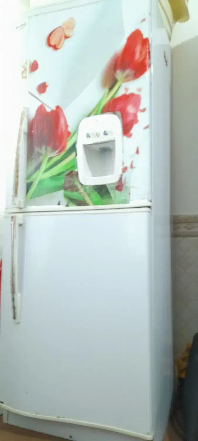 یخچال ولباسشویی|یخچال و فریزر|کبودرآهنگ, |دیوار