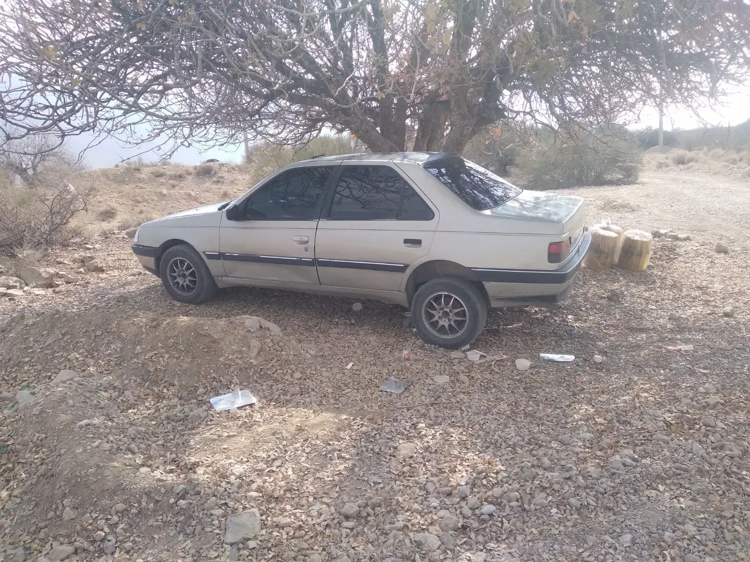 پژو مدل ۸۴|خودرو سواری و وانت|ارزوئیه, |دیوار