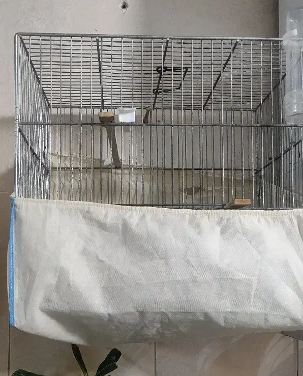 قفس پرنده|لوازم جانبی حیوانات|ملارد, |دیوار