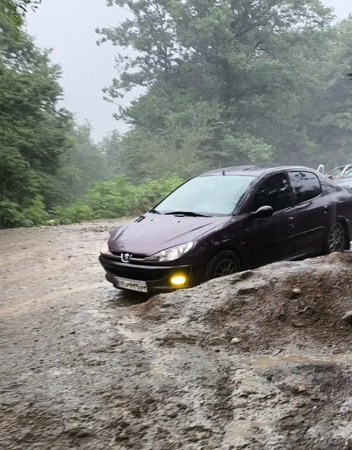 پژو 206 تیپ 5 V8 مدل 91 خاص و چشم گیر|خودرو سواری و وانت|فسا, |دیوار