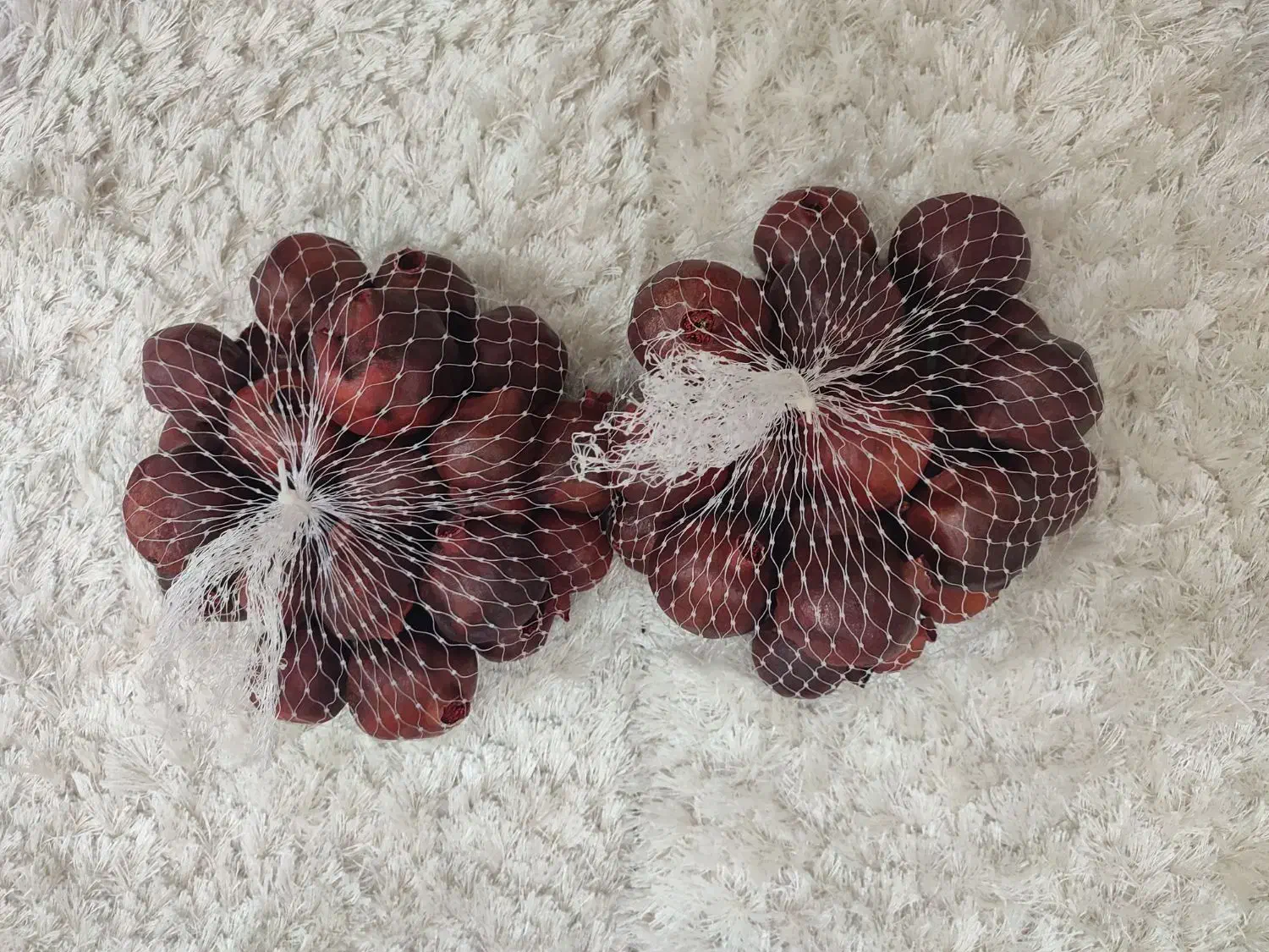 انار خشک شده برای تزیین میز آرایی شب یلدا|صنایع دستی و سایر لوازم تزئینی|اهواز, کیانپارس |دیوار